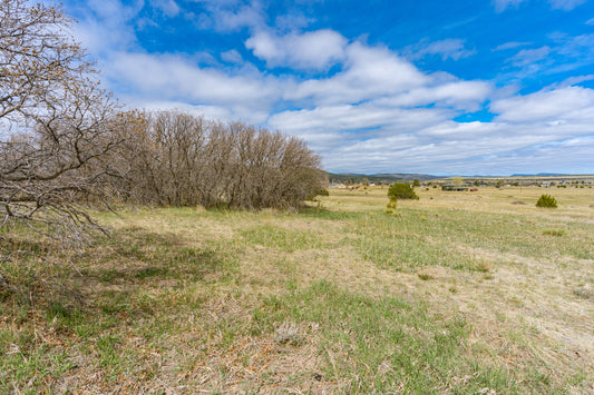 Buildable 0.14-Acre Lot in Pueblo County - $175/mo