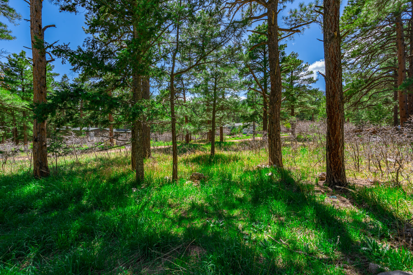 0.27-Acre Wooded Lot in Pueblo County, CO - $250/mo