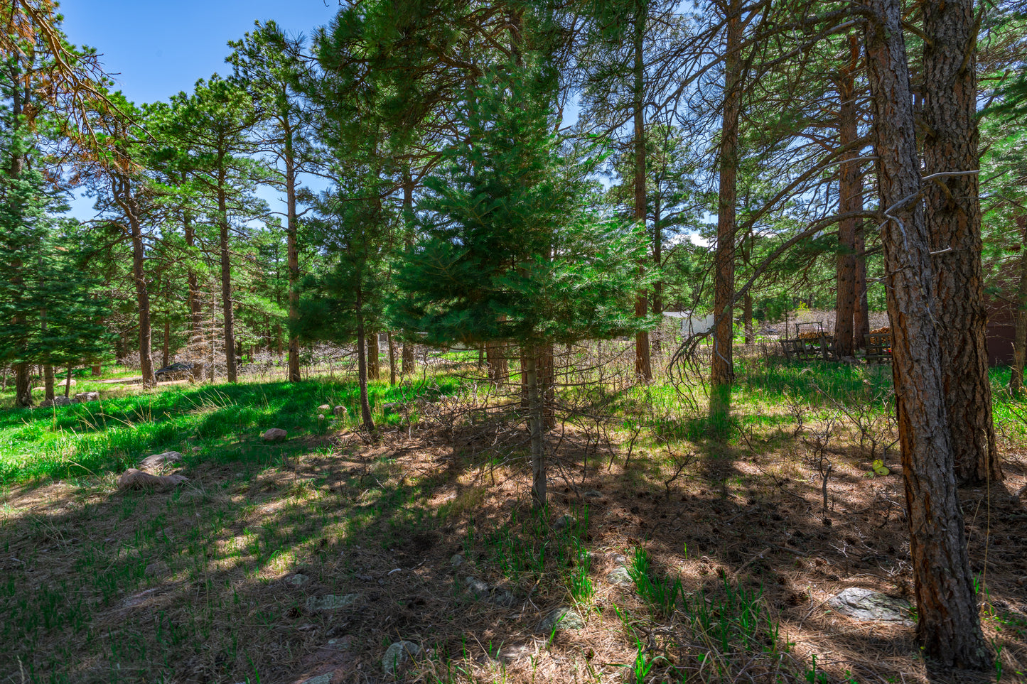 0.27-Acre Wooded Lot in Pueblo County, CO - $250/mo