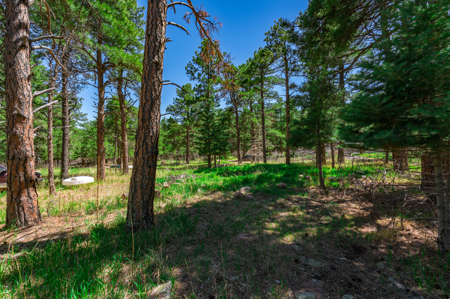 0.27-Acre Wooded Lot in Pueblo County, CO - $250/mo