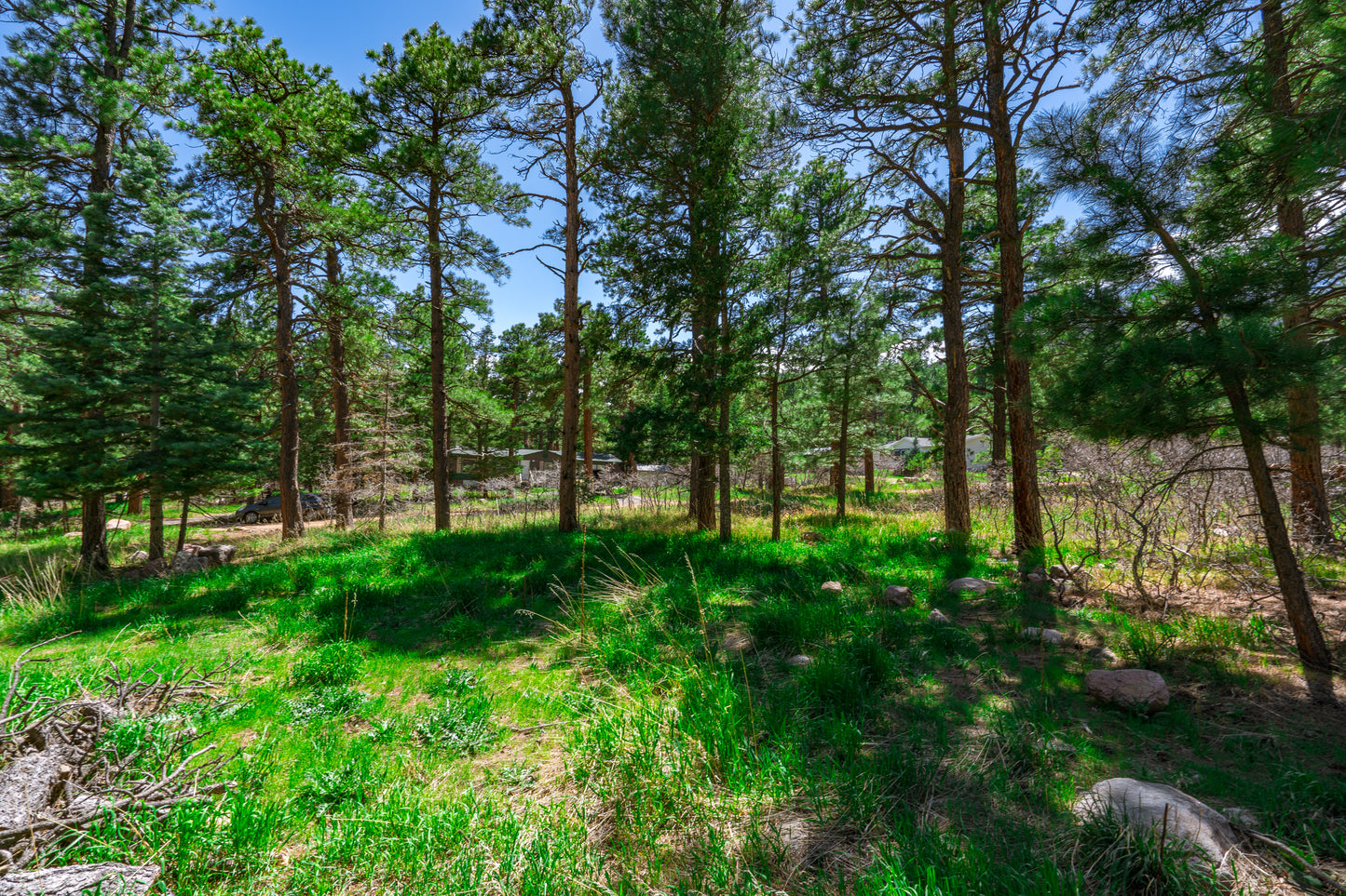 0.27-Acre Wooded Lot in Pueblo County, CO - $250/mo