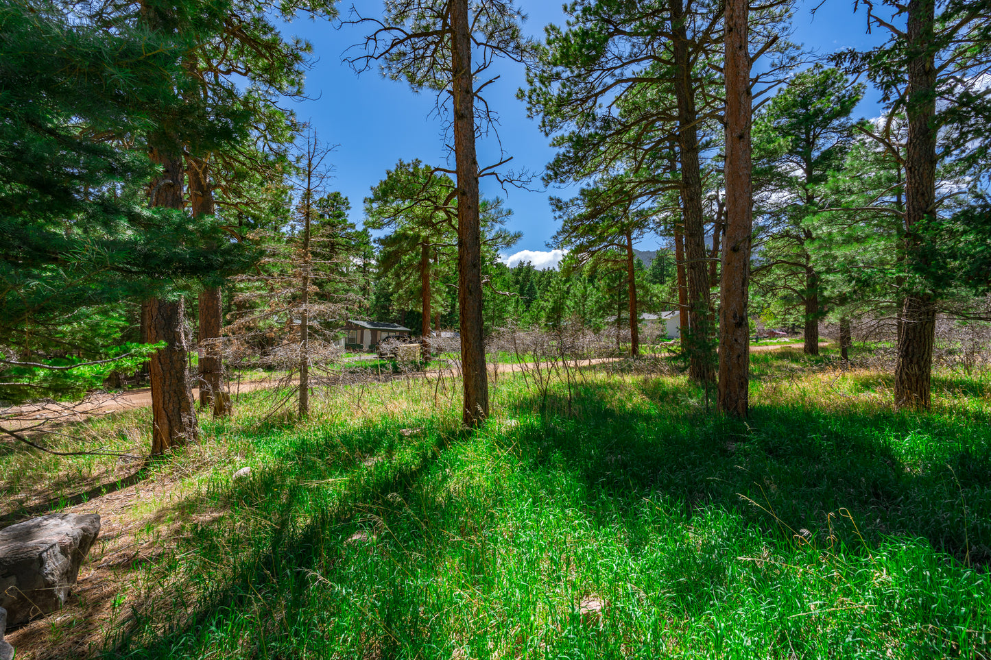 0.27-Acre Wooded Lot in Pueblo County, CO - $250/mo