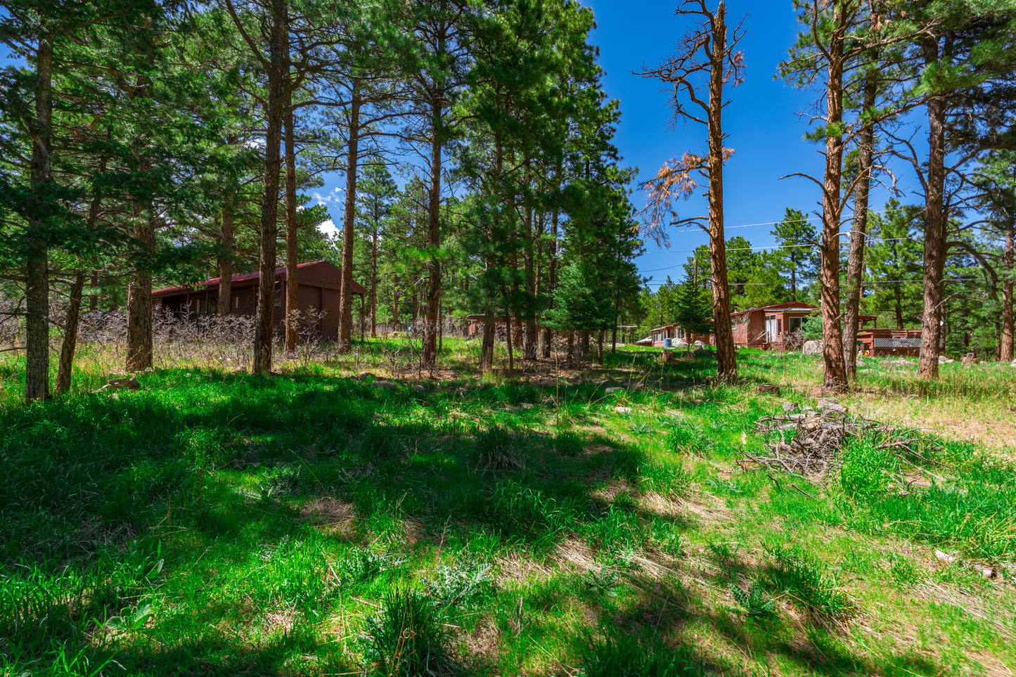 0.27-Acre Wooded Lot in Pueblo County, CO - $250/mo