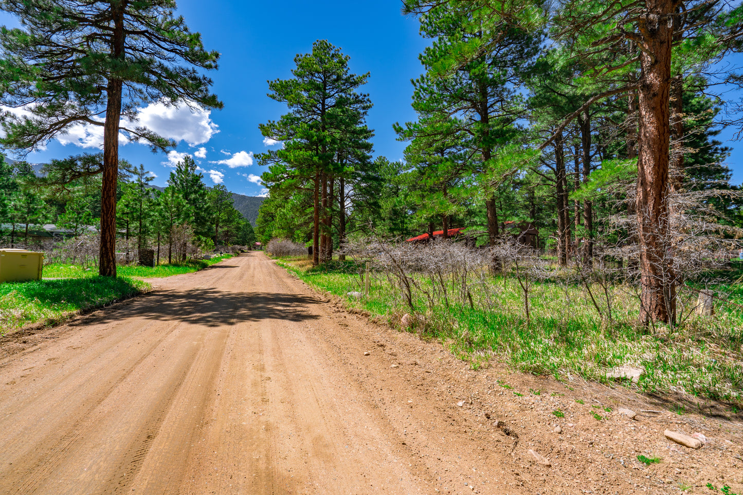 0.27-Acre Wooded Lot in Pueblo County, CO - $250/mo