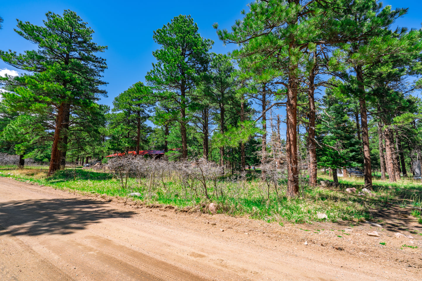 0.27-Acre Wooded Lot in Pueblo County, CO - $250/mo