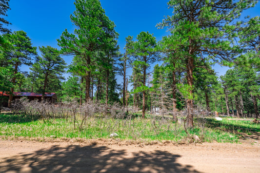 0.27-Acre Wooded Lot in Pueblo County, CO - $250/mo