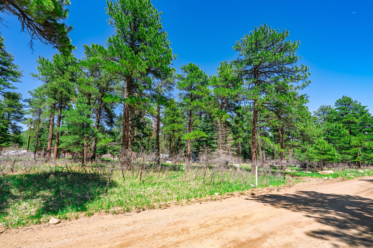0.27-Acre Wooded Lot in Pueblo County, CO - $250/mo