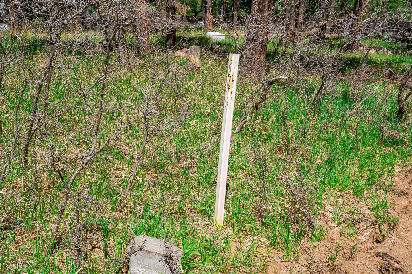 0.27-Acre Wooded Lot in Pueblo County, CO - $250/mo