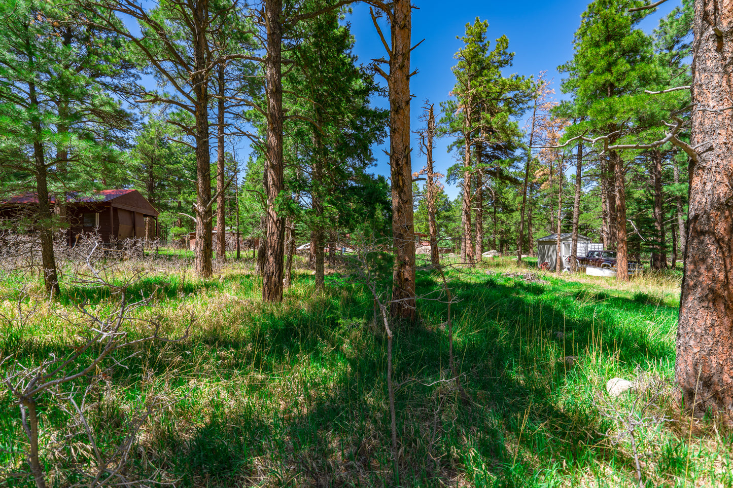 0.27-Acre Wooded Lot in Pueblo County, CO - $250/mo