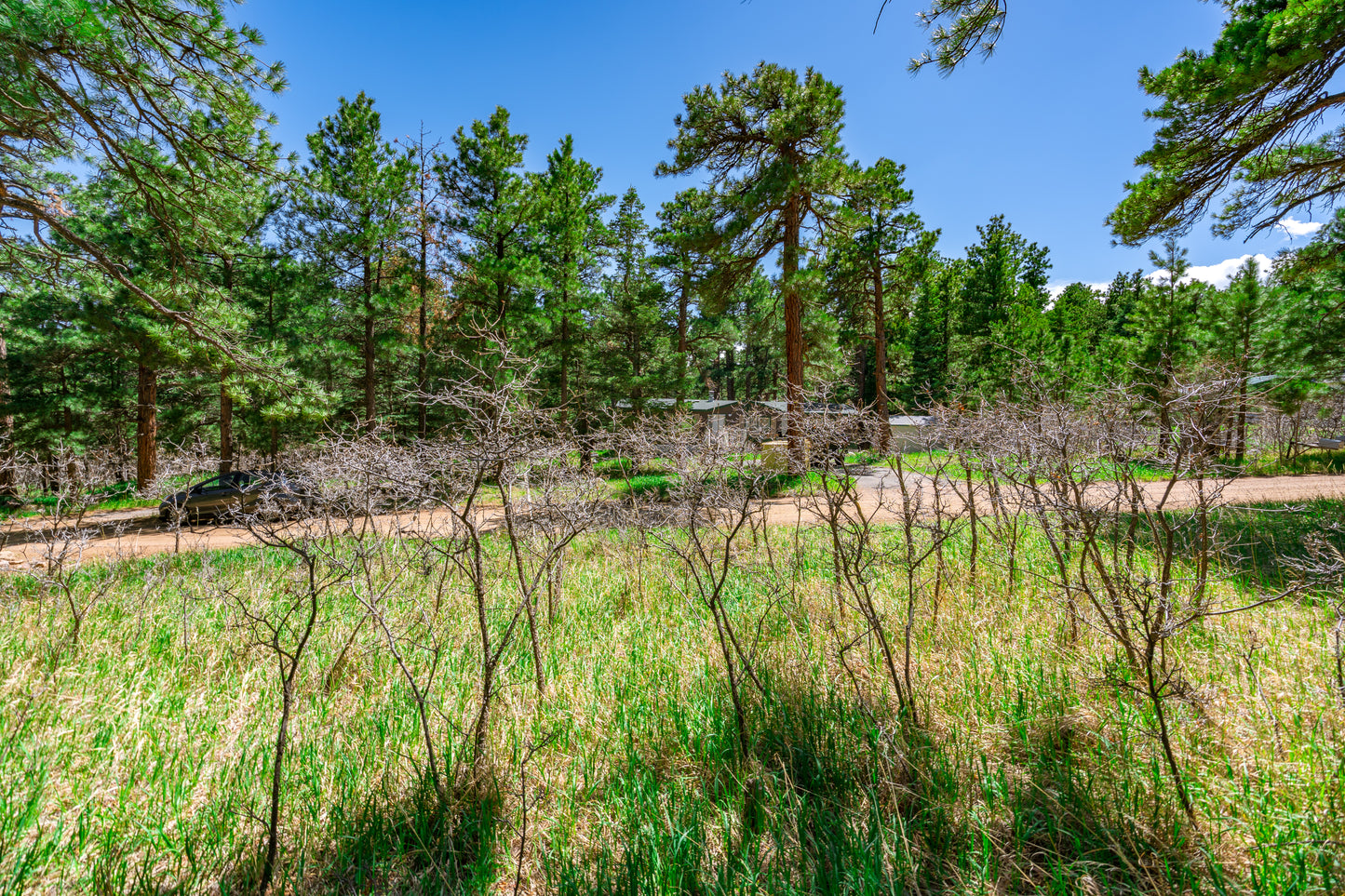 0.27-Acre Wooded Lot in Pueblo County, CO - $250/mo