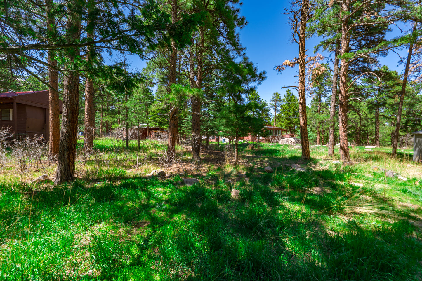 0.27-Acre Wooded Lot in Pueblo County, CO - $250/mo