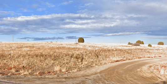 0.23-Acre Corner Lot in Pueblo County, CO with Mountain Views! - $125/month