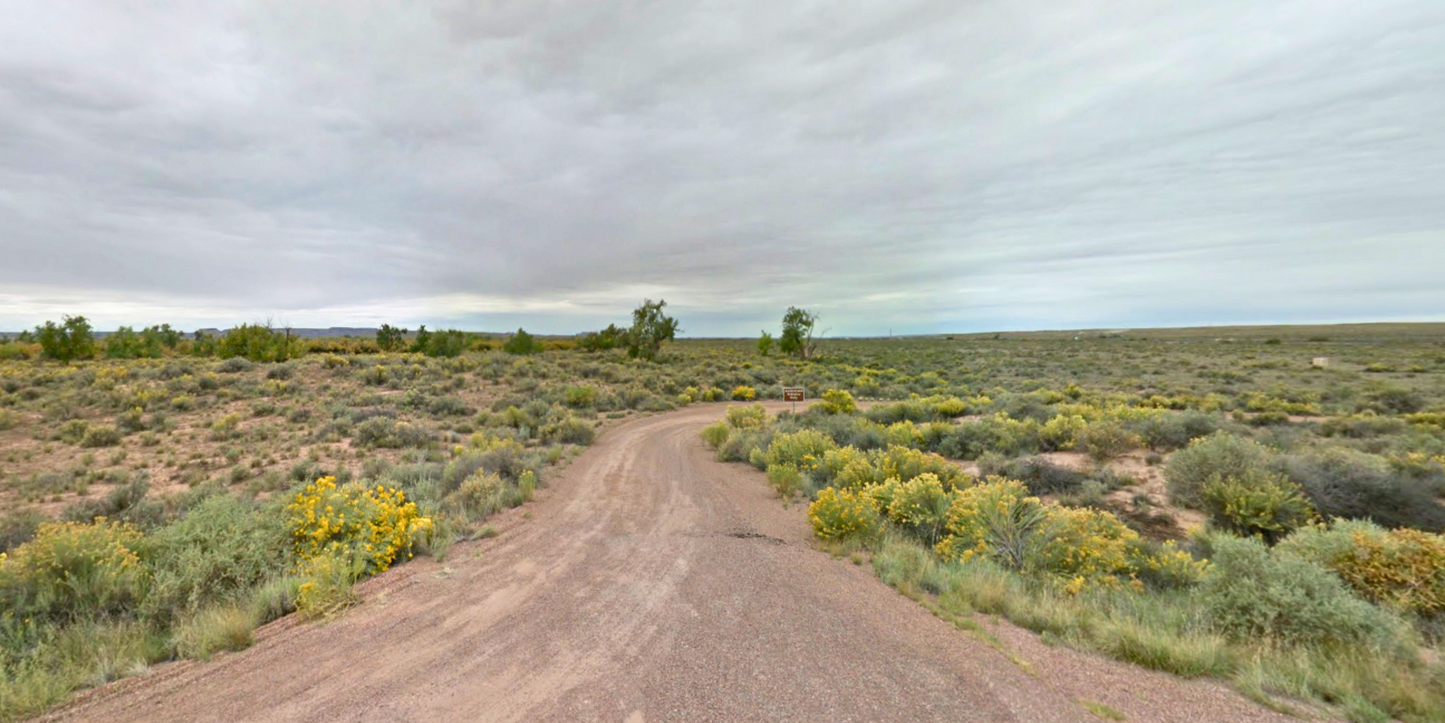 1.08 Acre Lot in Apache County, AZ - $99/mo