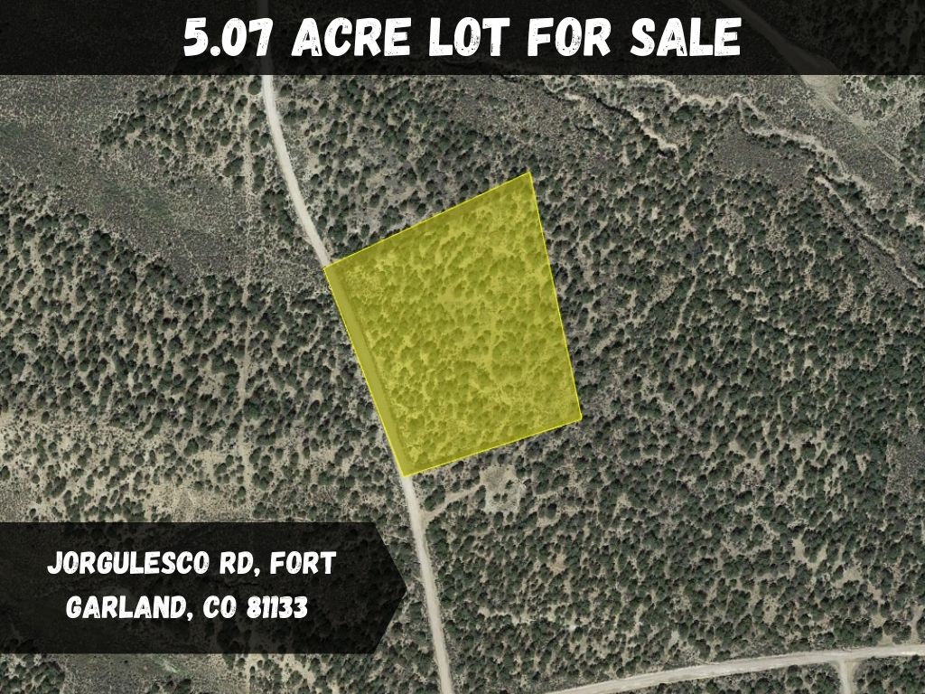 5.07 Acres with Trees, in a Stellar Neighborhood, Fiber-Incoming - $300/month