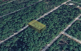 Minutes to Lake George! 0.23 Acre Lot in Putnam County, FL