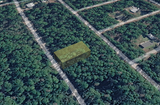 Minutes to Lake George! 0.23 Acre Lot in Putnam County, FL