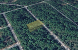 Minutes to Lake George! 0.23 Acre Lot in Putnam County, FL