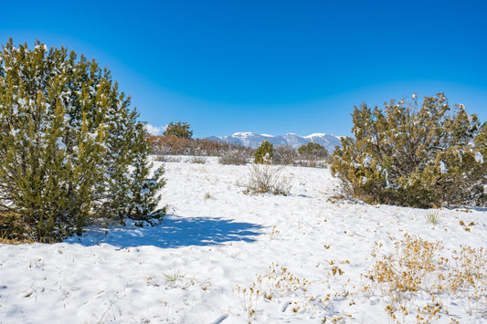 0.19 Acre Lot Build Ready in Colorado City, CO - $250/month