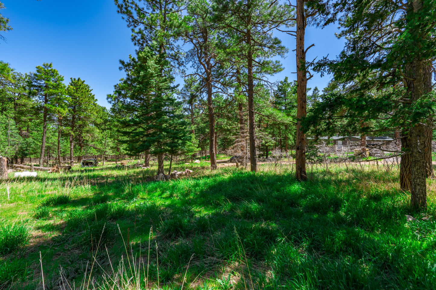 0.27-Acre Wooded Lot in Pueblo County, CO - $250/mo