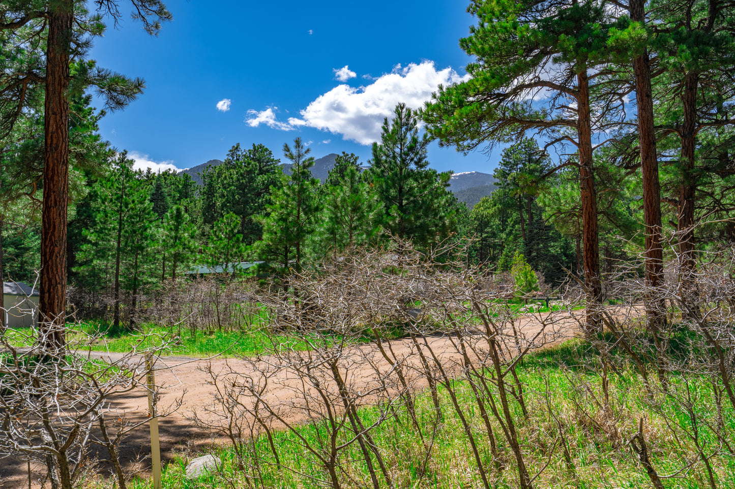 0.27-Acre Wooded Lot in Pueblo County, CO - $250/mo