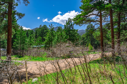 0.27-Acre Wooded Lot in Pueblo County, CO - $250/mo