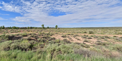 1.08 Acre Lot in Apache County, AZ - $99/mo