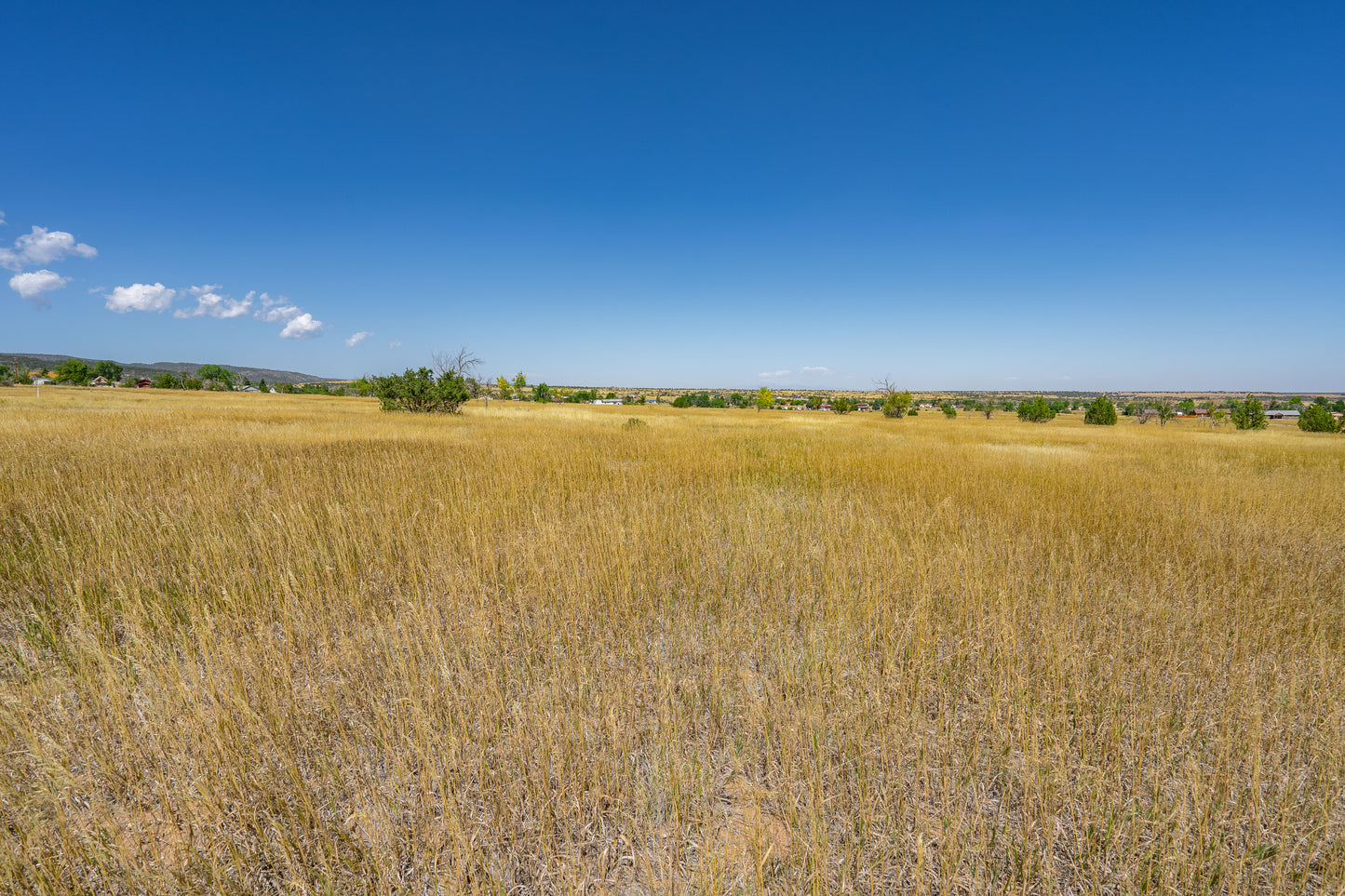 Build Your Dream Home on This 0.39-Acre Lot!