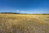 Build Your Dream Home on This 0.39-Acre Lot!
