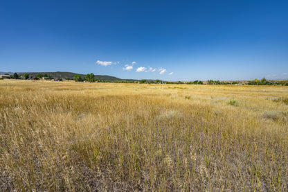 Build Your Dream Home on This 0.39-Acre Lot!