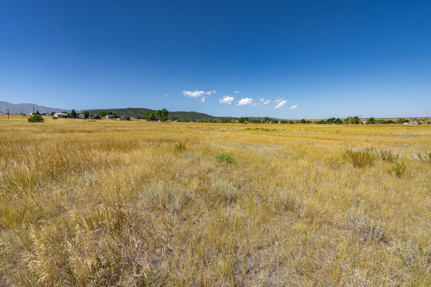 Build Your Dream Home on This 0.39-Acre Lot!