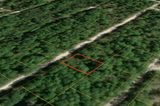 Minutes to Lake George! 0.23 Acre Lot in Putnam County, FL