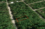 Minutes to Lake George! 0.23 Acre Lot in Putnam County, FL