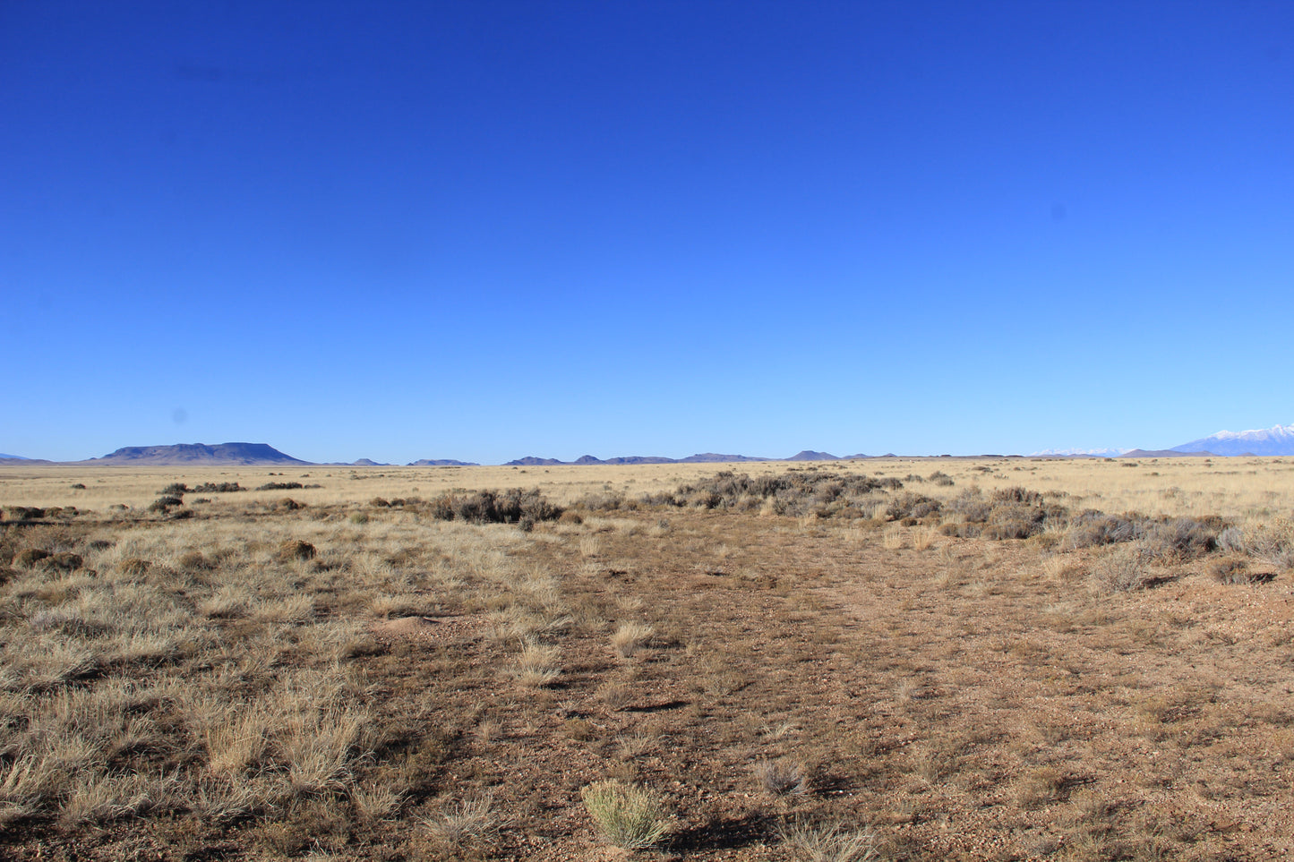 15.92-Acre Cul-de-Sac Lot in Costilla County, CO - Mountain Views & Endless Potential