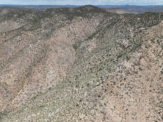 10 Acres Elevated Oasis in Mohave County - $125/mo