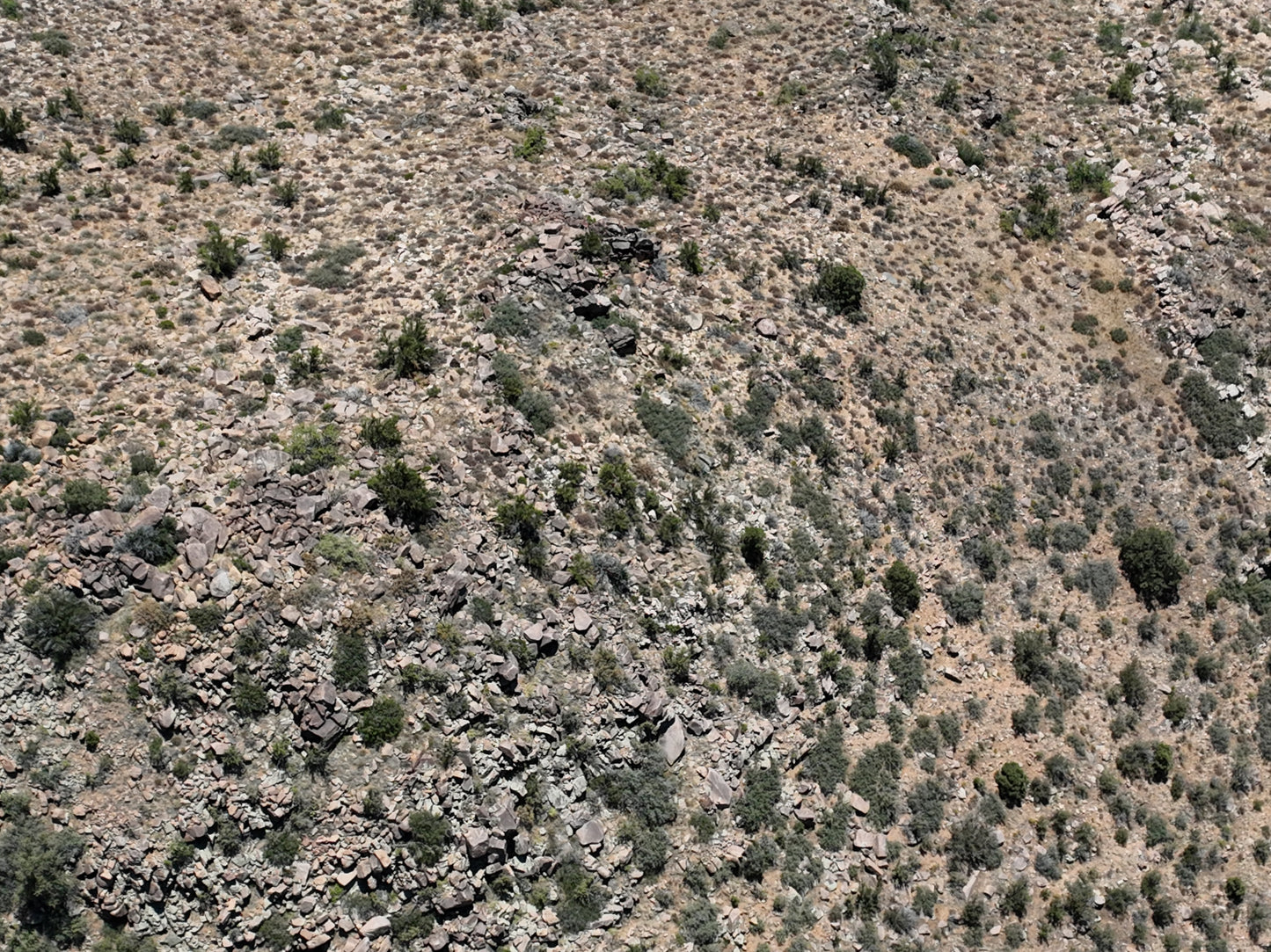 10 Acres Elevated Oasis in Mohave County - $125/mo