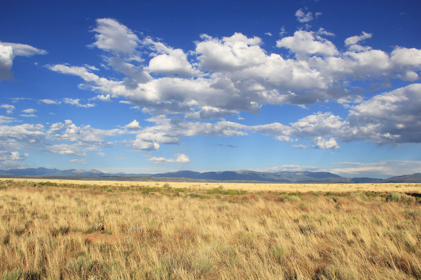 11.14 Acre Lot in Costilla County, CO with plenty of room to Camp, Build, or RV!
