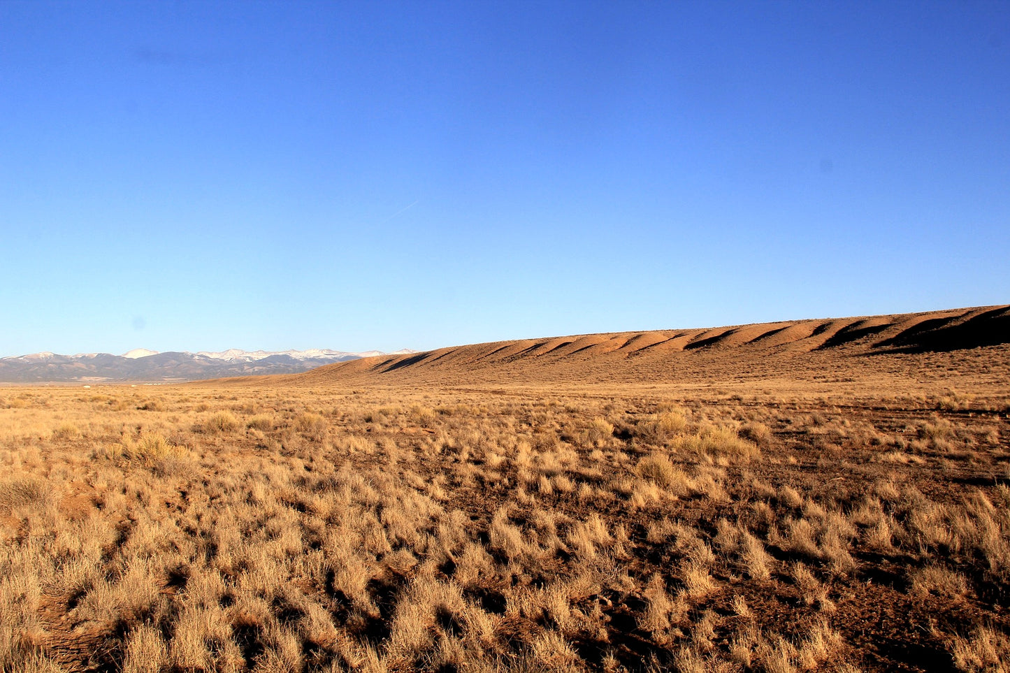6.13 Acres in Southern CO - $195/mo