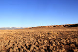 6.13 Acres in Southern CO - $195/mo