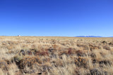 5.01 Acres of Freedom! Costilla County, CO - $175/month