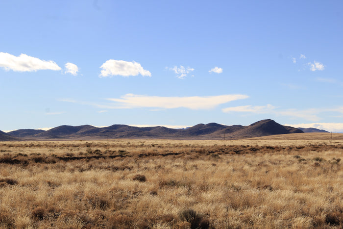 4.73 Acre Lot with Endless Potential! - $125/month