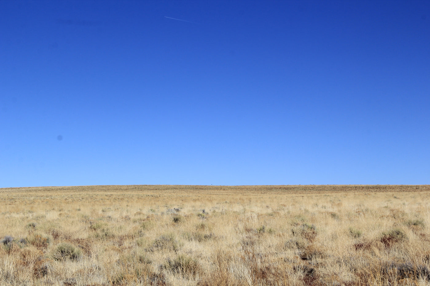 5.01 Acres of Freedom! Costilla County, CO - $175/month