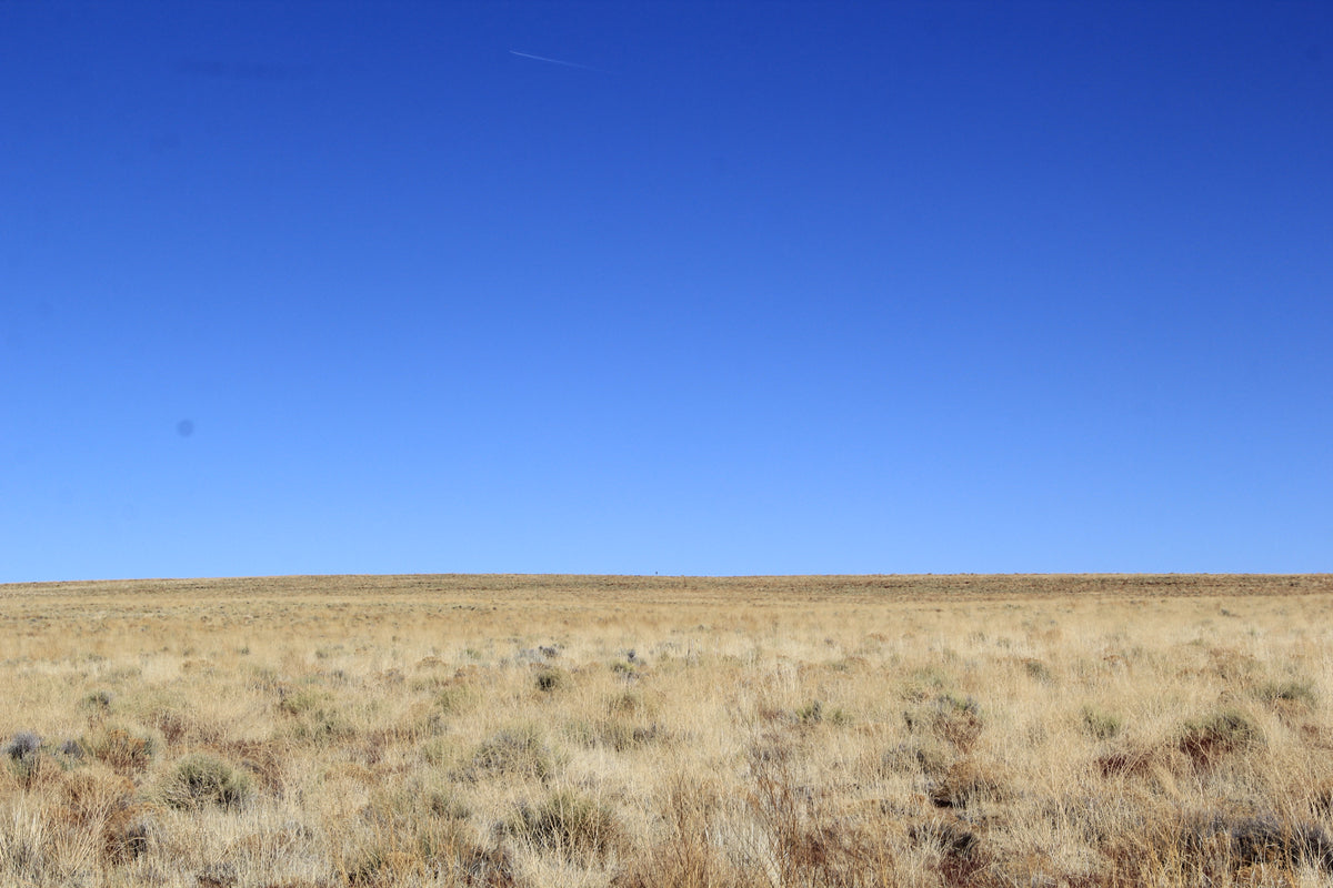 5.01 Acres of Freedom! Costilla County, CO - $175/month