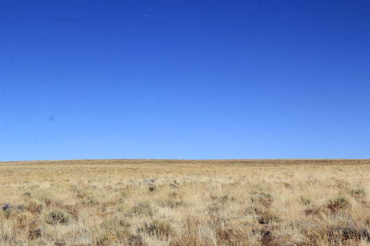 5.01 Acres of Freedom! Costilla County, CO - $175/month