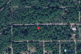 Minutes to Lake George! 0.23 Acre Lot in Putnam County, FL