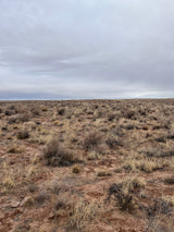 1.09 Acre Lot Unrestricted in Apache, AZ - $99/month