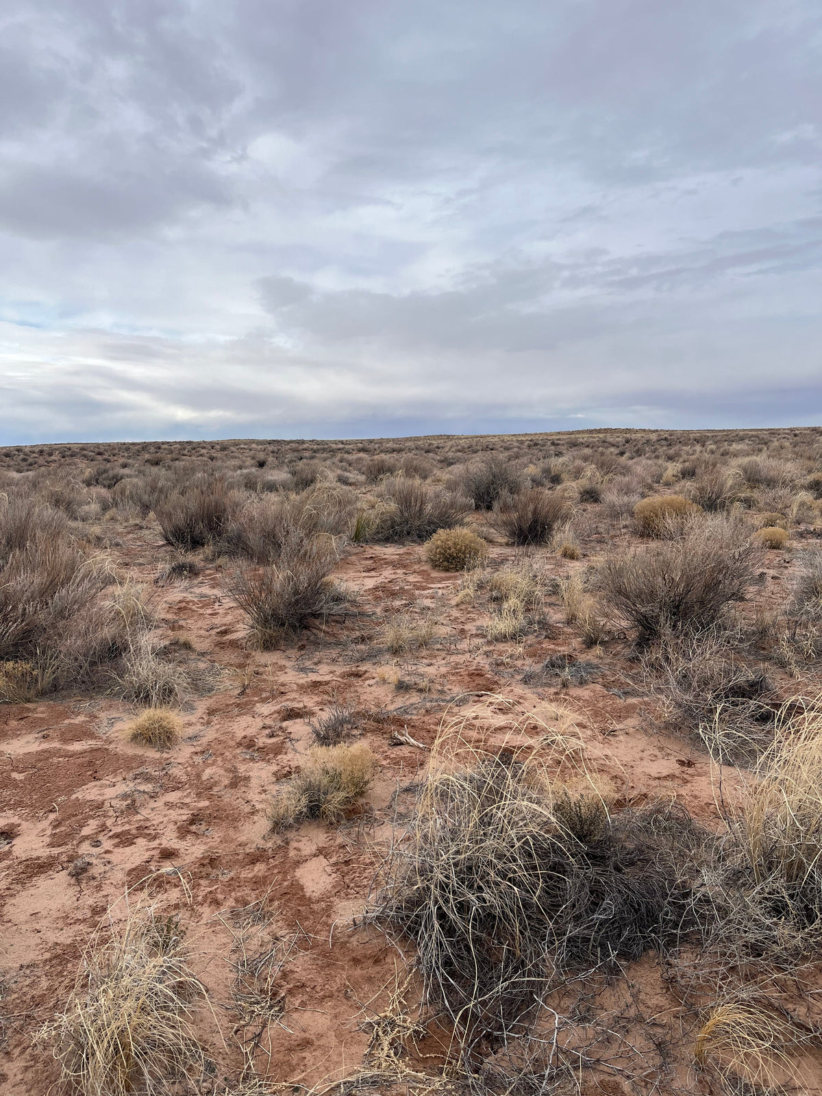 1.09 Acre Lot Unrestricted in Apache, AZ - $99/month