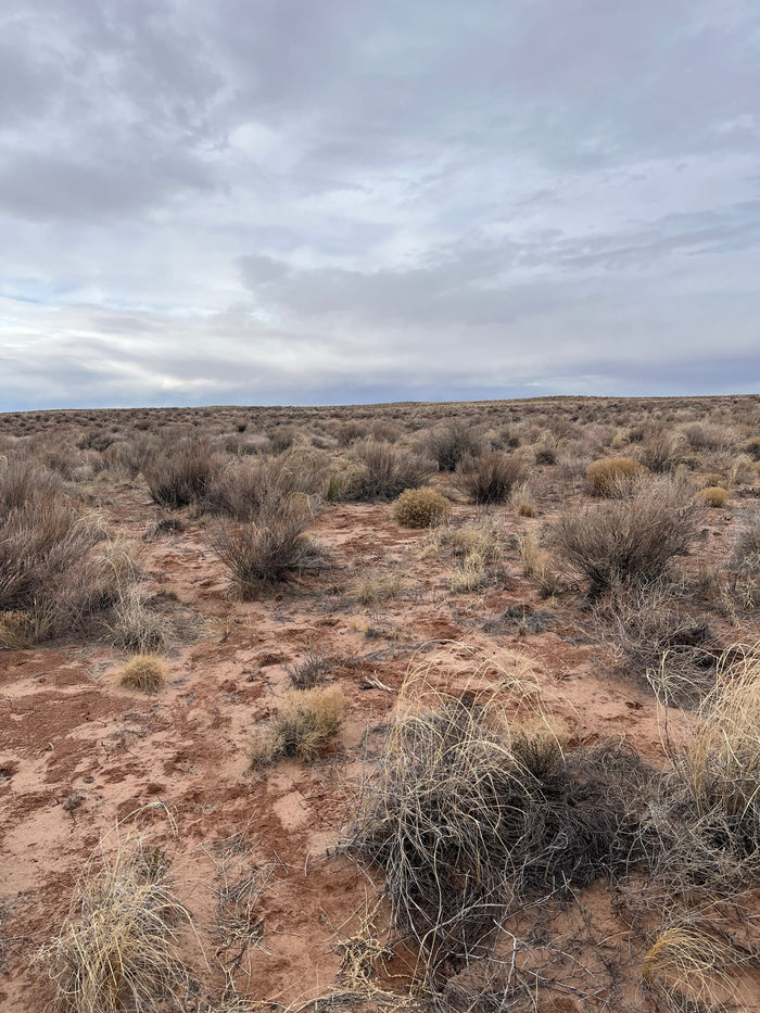 1.09 Acre Lot Unrestricted in Apache, AZ - $99/month