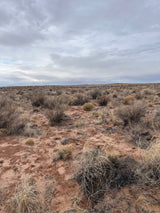 1.09 Acre Lot Unrestricted in Apache, AZ - $99/month
