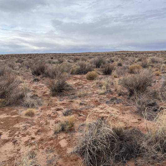 1.09 Acres in Apache County, AZ: Off-Grid Bliss Awaits Your Tiny Home