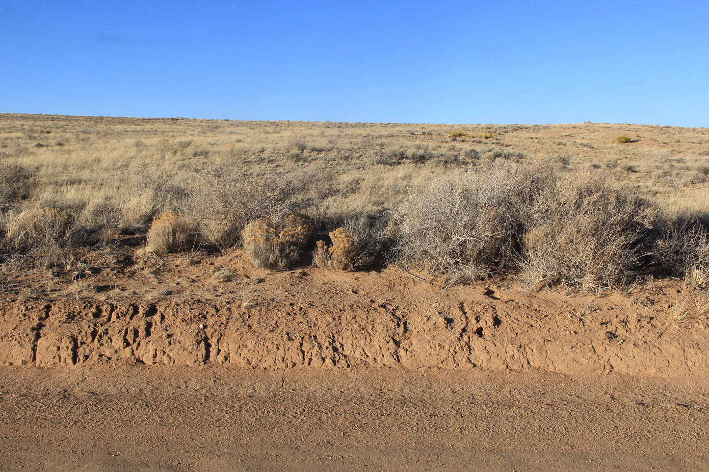 5.00 Acres with Breathtaking Views in Costilla County, CO!